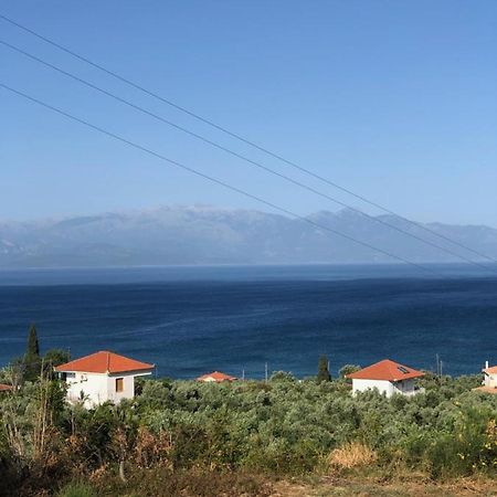 Aggeliki House 5 Βίλα Κόμποι Εξωτερικό φωτογραφία